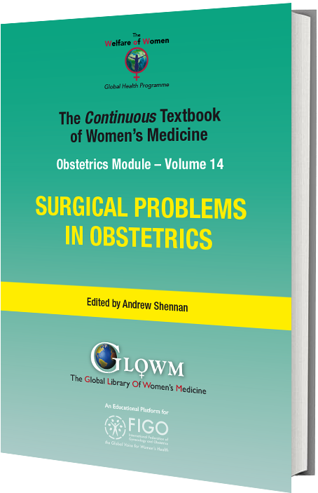 PDF) Clinicopathologic Characteristics and Causes of Postmenopausal Bleeding  in Older Patients