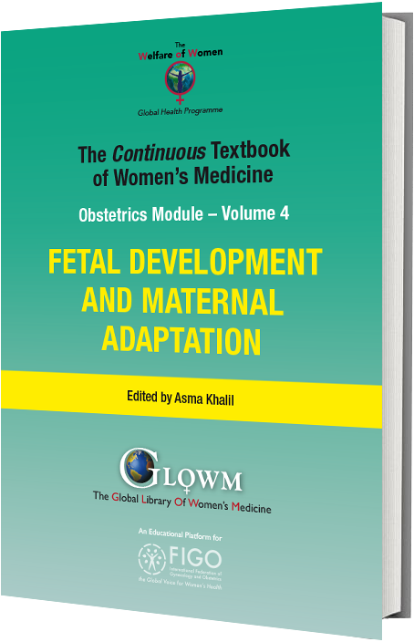 Antenatal Care Module: 6. Anatomy of the Female Pelvis and Fetal